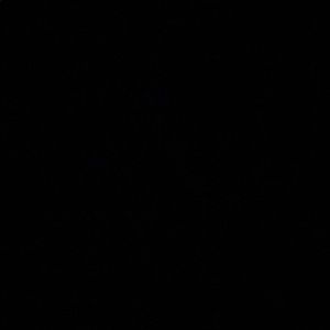 Meet your Posher, Vilmaris